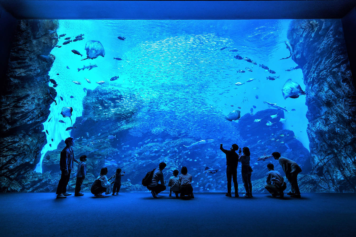 仙台うみの杜水族館（宮城）